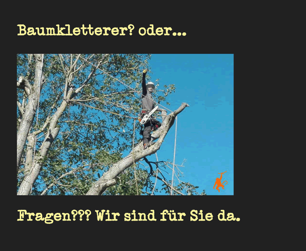 Baumklettern für  Oberreichenbach